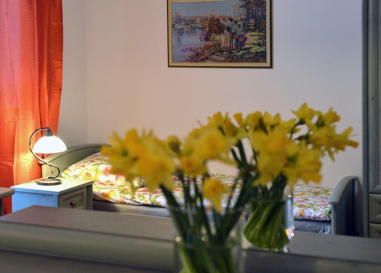 Villa Biotanika Michalkowa Esterno foto